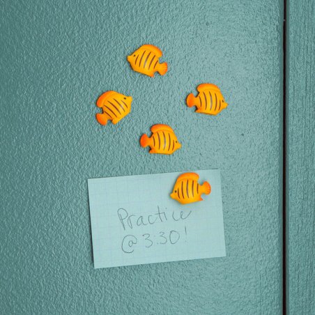 Kikkerland - Fish Magnets