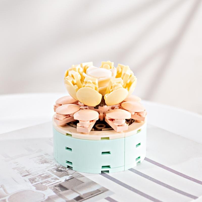 FOREVER FLOWERS - Bricks Succulent - Display 12pcs