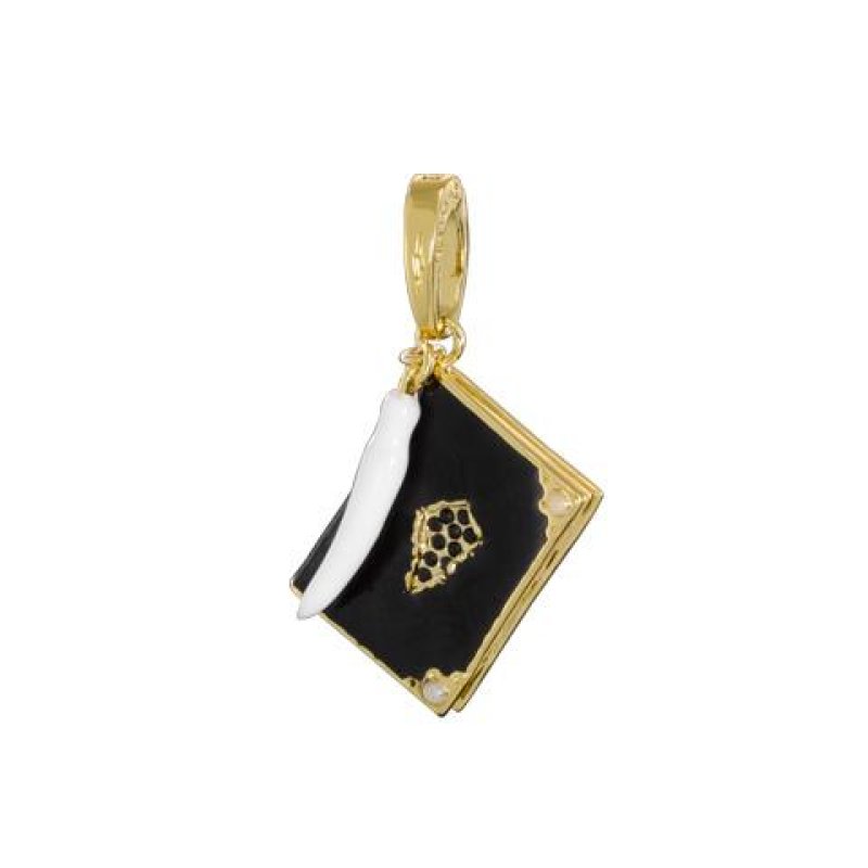 HARRY POTTER - Pendentif Charm Lumos 11 - Journal de Tom Jedusor