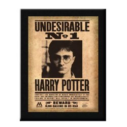 HARRY POTTER - Plaque Murale Indesirable N°1