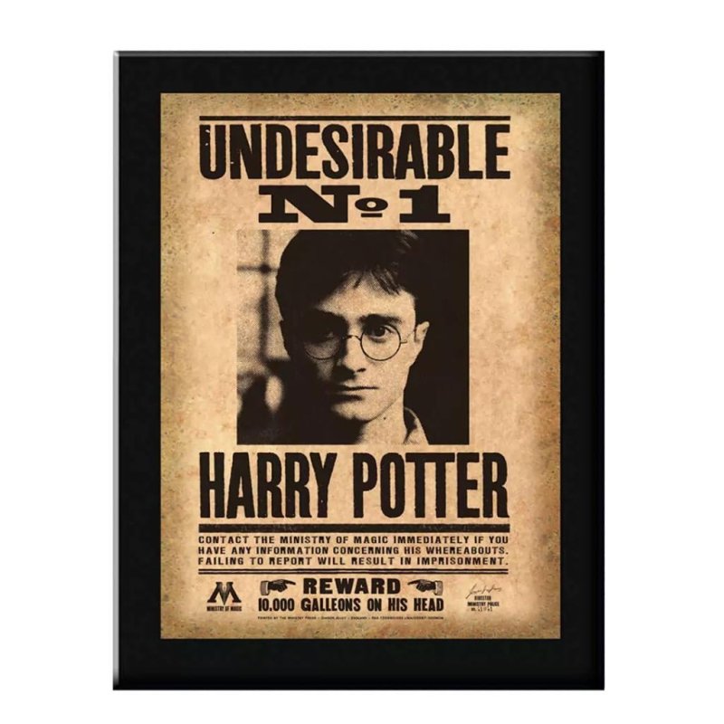 HARRY POTTER - Plaque Murale Indesirable N°1