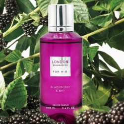 Fine Perfumery London Blackberry and Bay Musk Sandalwood Cologne