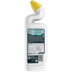 Duck Toilet Cleaner Biodegradable Formula Coastal Forest