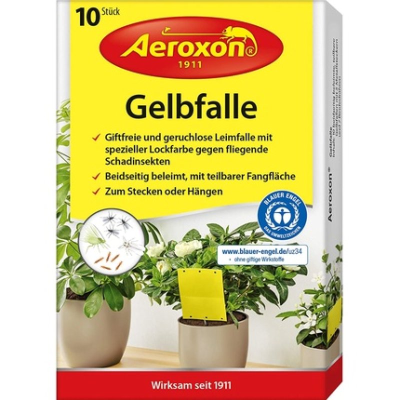 Aeroxon Yellow Fly Catcher Sticker