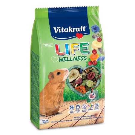 Life Wellness Sea Salt 600g