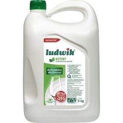 Inco Veritas Ludwik Dishwashing Liquid 5l Mint