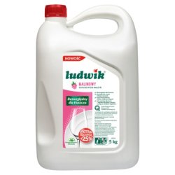 Ludwik Raspberry Dishwashing Liquid 5kg