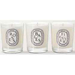 Diptyque Baies Roses & Figuier Scented Candle 70 Grams Gift Boxed White