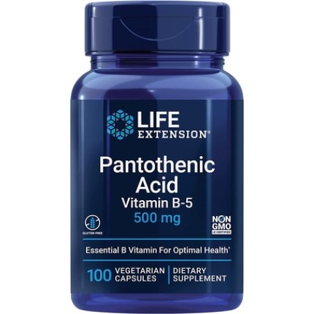 500mg Pantothenic Acid Vegetarian Capsules 100 Count