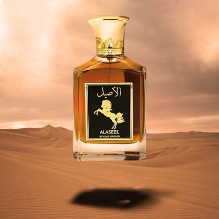 Gulf Orchid Alaseel Arabic Men's Perfume 100 Milliliters