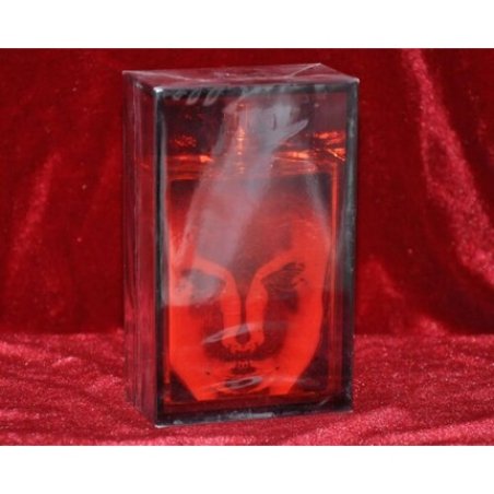 The Beautiful Mind Series Vol-1 Intelligence & Fantasy 100ml 3.5fl oz Rare