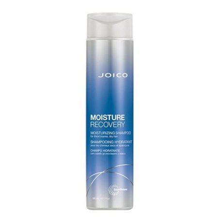 Joico Moisture Recovery Shampoo For Dry Hair 300ml