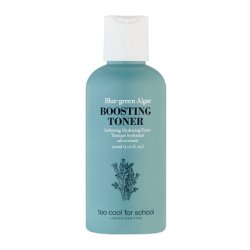 Too Cool for School Blue-Green Algae Toner