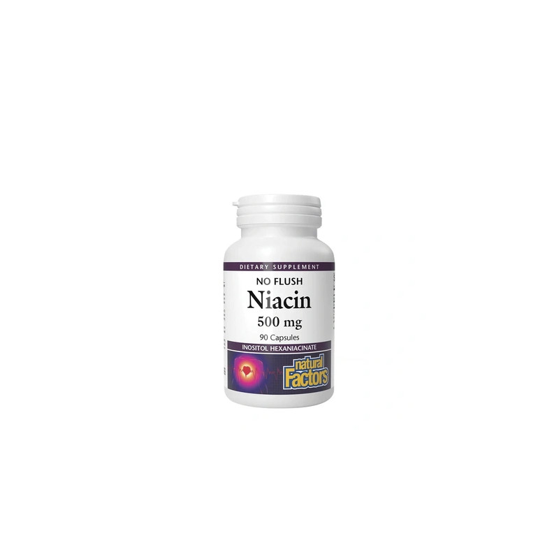 Natural Factors Niacin 500 Milligrams 90 Capsules