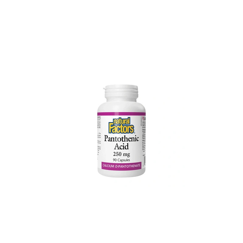 Natural Factors Pantothenic Acid 250 Mg 90 Capsules