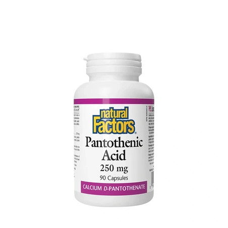Natural Factors Pantothenic Acid 250 Mg 90 Capsules