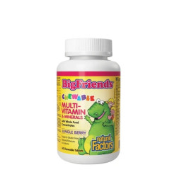 Natural Factors Chewable Multivitamin & Minerals With Whole Food Concentrates Jungle Berry Flavor 90 Chewables