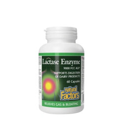 Natural Factors Lactase Enzyme Supplement 60 Capsules