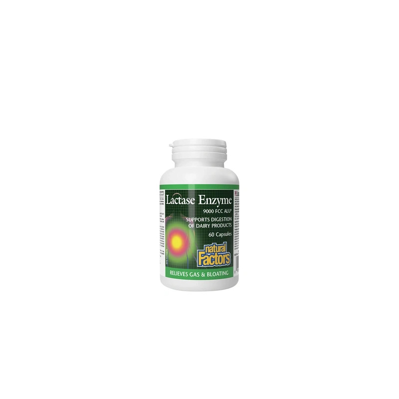 Natural Factors Lactase Enzyme Supplement 60 Capsules