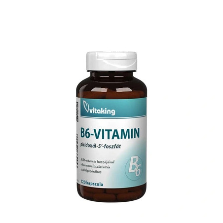 Vitaking Vitamin B6 P5p 120 Capsules