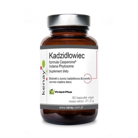 Kenay Boswellia Casperome Indena Phytosome Extract 60 Capsules