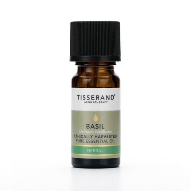Tisserand Aromatherapy Basil Ethically Harvested Essential Oil 30 Ml 1 Fl Oz