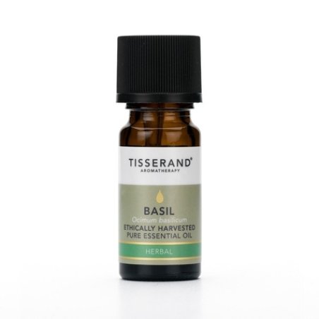 Tisserand Aromatherapy Basil Ethically Harvested Essential Oil 30 Ml 1 Fl Oz