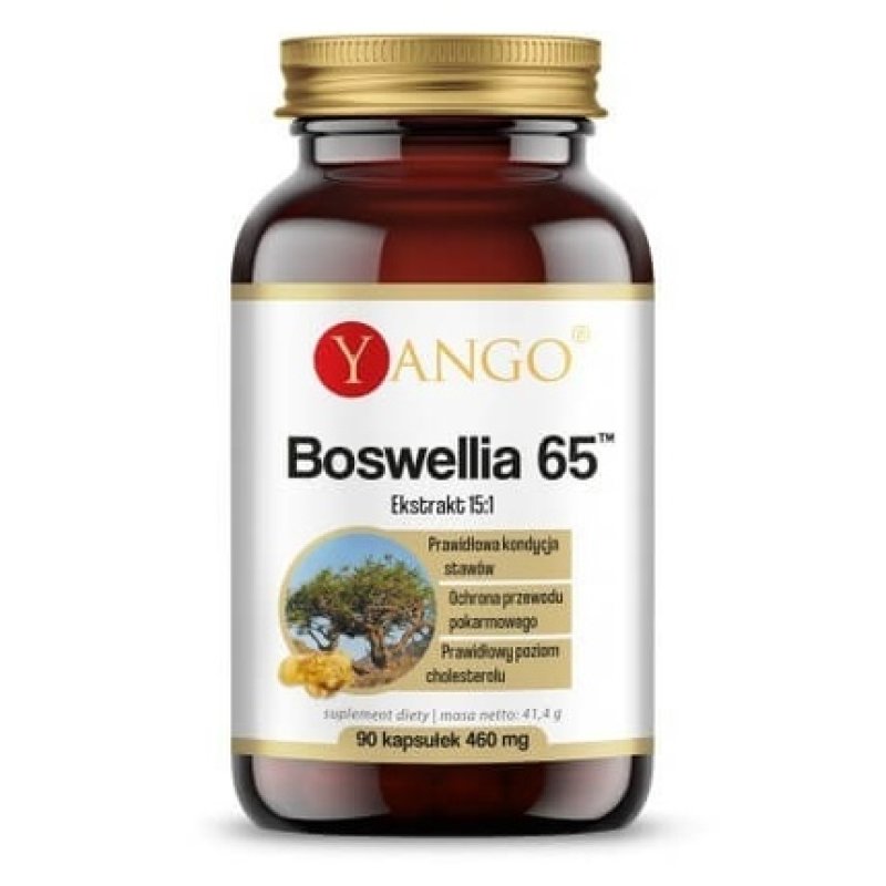 Yango Boswellia 65 Supplement 90 Capsules