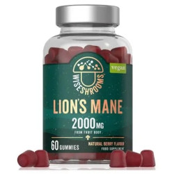 Wiseshrooms Lion's Mane Gummies 60 Count