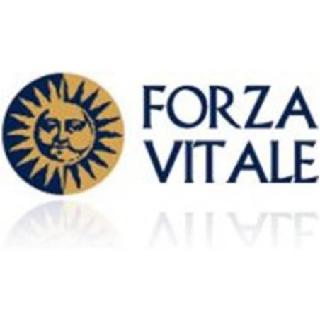 Forza Vitale Sys.Bardana 50ml
