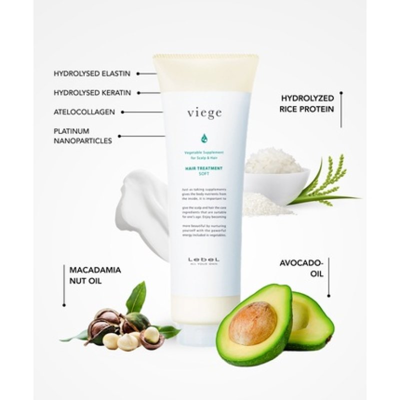 Lebel Lebel Viege Hair Treatment S 240g