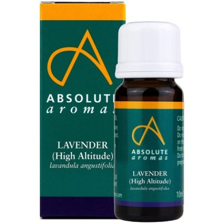 Absolute Aromas Lavender Oil 10ml