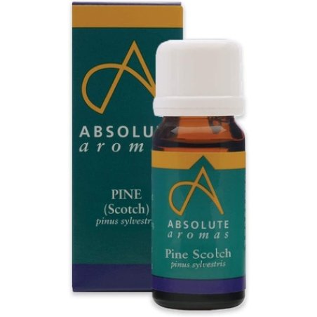 Absolute Arômes Pine Scotch Pure Essential Oil for Aromatherapy 10ml