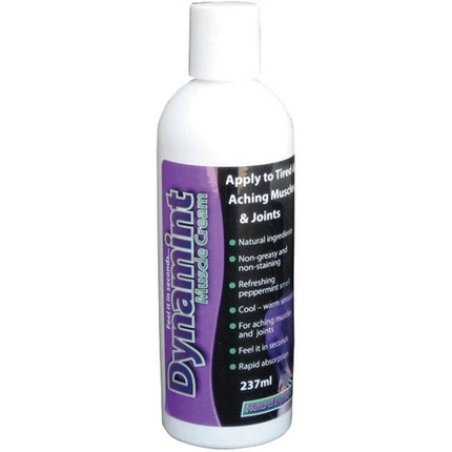 Dynamint 237ml