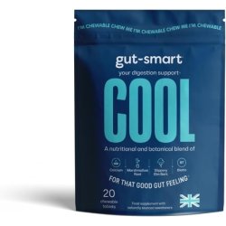 Gutsmart Cool Chewable Tablets Heartburn Relief Antacid Natural Supplements For Healthy Digestion 20 Count