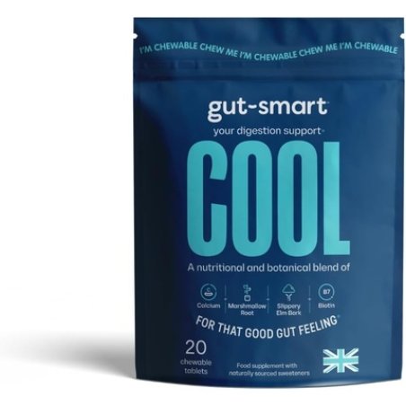 Gutsmart Cool Chewable Tablets Heartburn Relief Antacid Natural Supplements For Healthy Digestion 20 Count