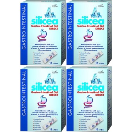 Hubner Silicea Gastro Intestinal Gel 15x15ml Sachet