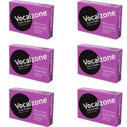 Vocalzone Blackcurrant Sugar-Free Throat Pastilles 24 Pastilles - Pack of 6