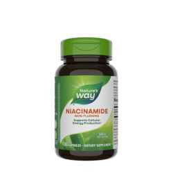 Nature's Way Niacinamide 100 Capsules