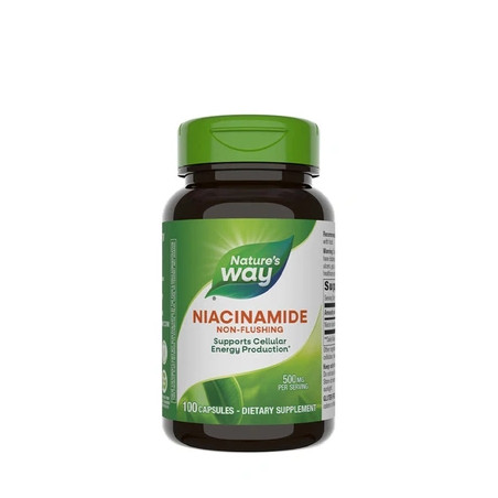 Nature's Way Niacinamide 100 Capsules