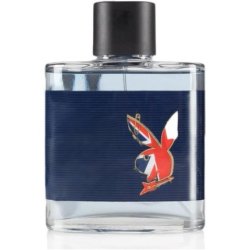 Playboy London Eau de Toilette 100ml