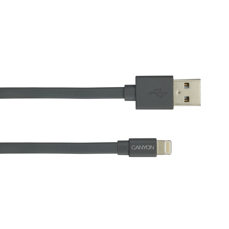 Canyon CNS-MFIC2DG lightning cable 0.96 m Silver
