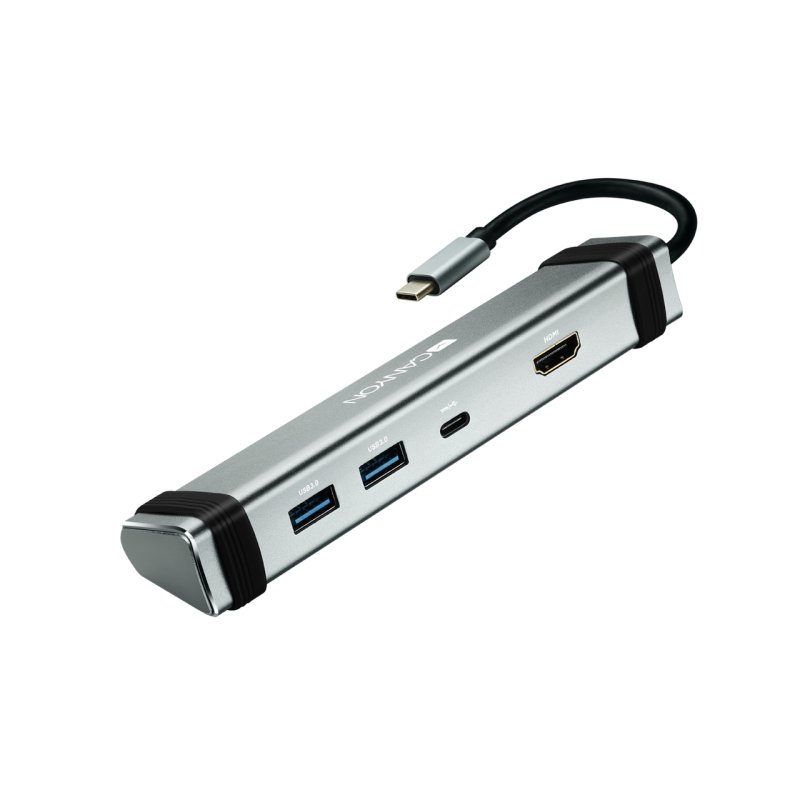 Canyon DS-3 USB 3.2 Gen 1 (3.1 Gen 1) Type-C Gris