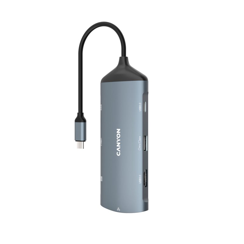 Canyon DS-15 USB 3.2 Gen 1 (3.1 Gen 1) Type-C Gris