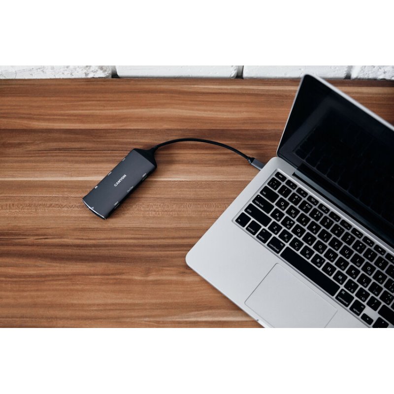 Canyon DS-15 USB 3.2 Gen 1 (3.1 Gen 1) Type-C Gris
