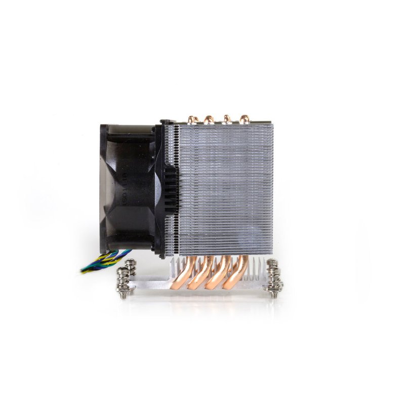 Dynatron A19 computer cooling system Processor Air cooler 8 cm Aluminium, Black 1 pc(s)