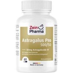 Astragalus Pro 50mg Astragaloside Iv Capsules 60 St