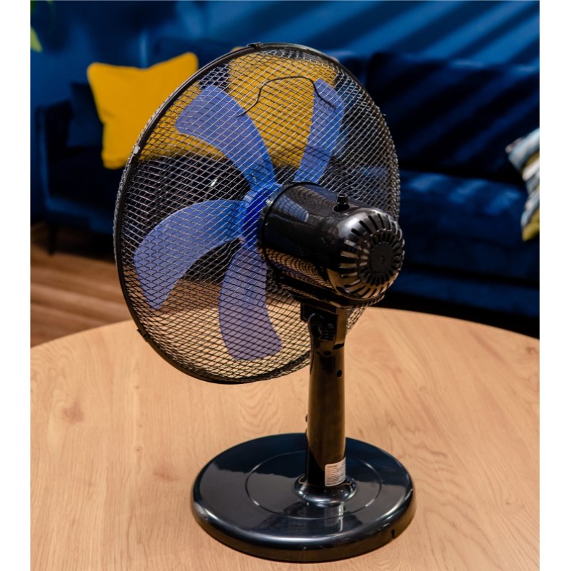Zelmer ZTF0300 household fan Black
