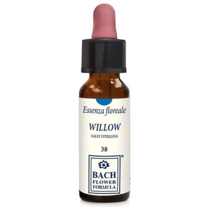 Willow Original Flower Essence Erba Vita 10ml