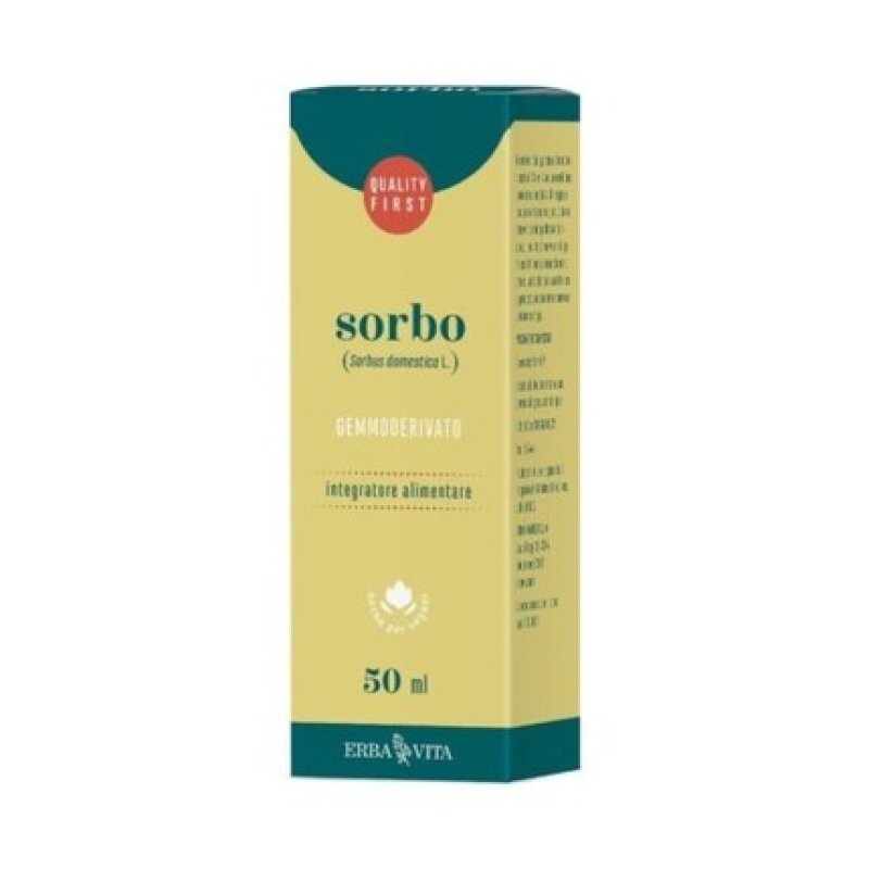 ERBA VITA Sorbus Gemmoderivate Circulation Supplement 50ml